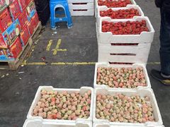 -西郊国际农产品交易中心