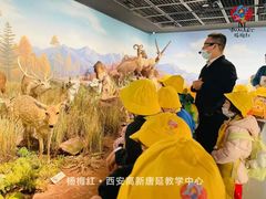 -杨梅红艺术教育(西安高新唐延教学中心)