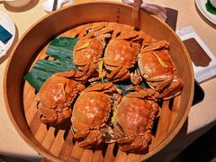 成隆行精选大闸蟹-成隆行·蟹王府(淮海店)