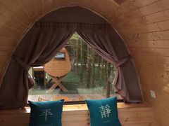 -黄海国家森林公园