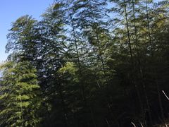-天姥山