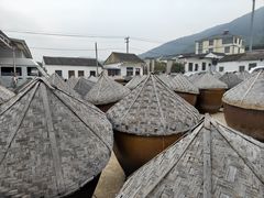 -苏州市吴中区光福窑上花果蜜饯厂