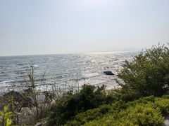 -大锅强·蒸海鲜青岛菜(吾悦广场店)