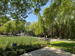 -玲珑塔公园
