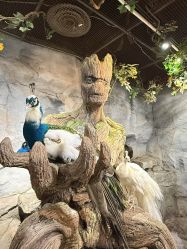 -Zoolung Zoolung动物主题公园(海信广场店)