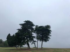 -钟山体育运动公园