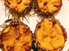 -海胆小馆(东北水饺·春柳店)