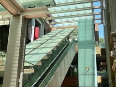-香港大学