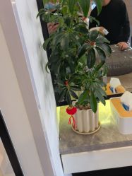 -LJOY丽锦造型·烫发染发