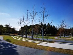 -南汇新城城市公园