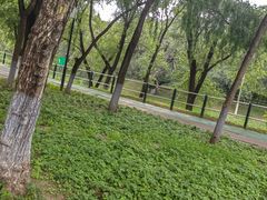 -黛秀湖公园