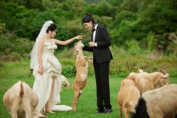 -麦田·婚纱摄影(天河新天地店)