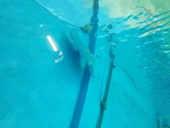 -北戴河圣蓝海洋公园