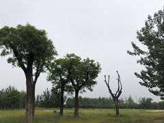 -汉长安城未央宫国家考古遗址公园