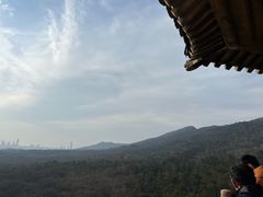 -灵谷景区