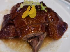 -椿记烧鹅(叠彩店)