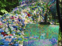 -上海共青森林公园