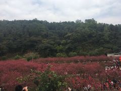 -常德桃花源景区