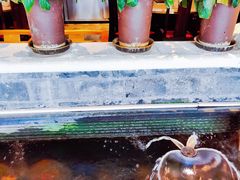 景观位-红鼎坊·老成都火锅(新南门店)
