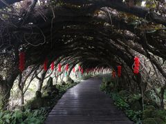 -广西壮族自治区药用植物园