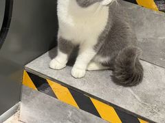 -网猫电竞(高新万达店)