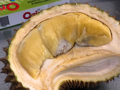 -都念榴莲·城市榴莲