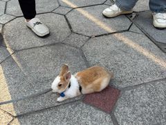 -孙文西路步行街