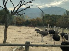 -西安秦岭野生动物园