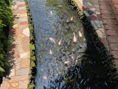 -侯臣咖啡文化村