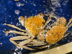 -海景壹号大酒店(滨湖店)