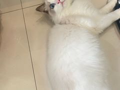 -猫遇摄影工作室