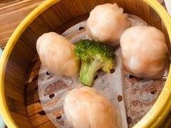 -粤港餐厅(禹州商业广场店)
