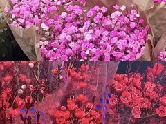 -循礼门鲜花花市(武汉循礼门店)