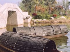 -杭州湾海上花田景区