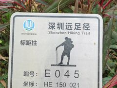 -梧桐山风景名胜区