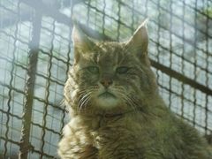 -青藏高原野生动物园