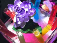 -星光灿烂KTV(金沙店)