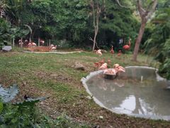 -深圳野生动物园