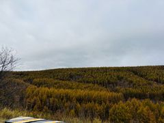 -塞罕坝国家级自然保护区