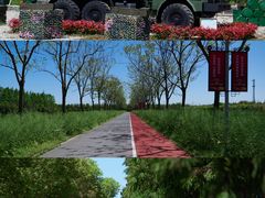 -上海长兴岛郊野公园