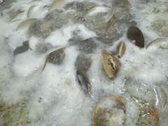 -御龙海鲜火锅(十六浦店)