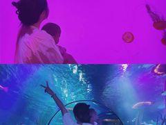 -沈阳海洋探索中心