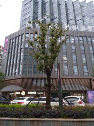 点击看大图 -MLYG美来瑜伽·普拉提