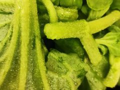 -全聚德(长江路店)