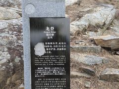 -泰山风景名胜区