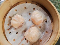 -申粤轩酒楼(丁香花园店)