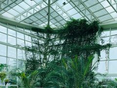 -石家庄市植物园