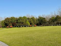 -合肥滨湖国家森林公园