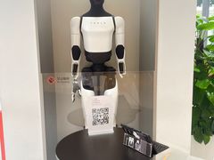 -TESLA 特斯拉(广州天环广场体验店)