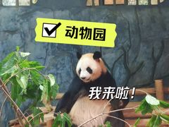 -深圳野生动物园